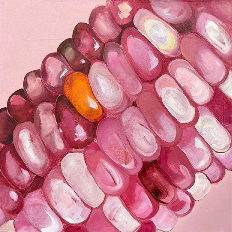 Rosa Embeleso, 2025