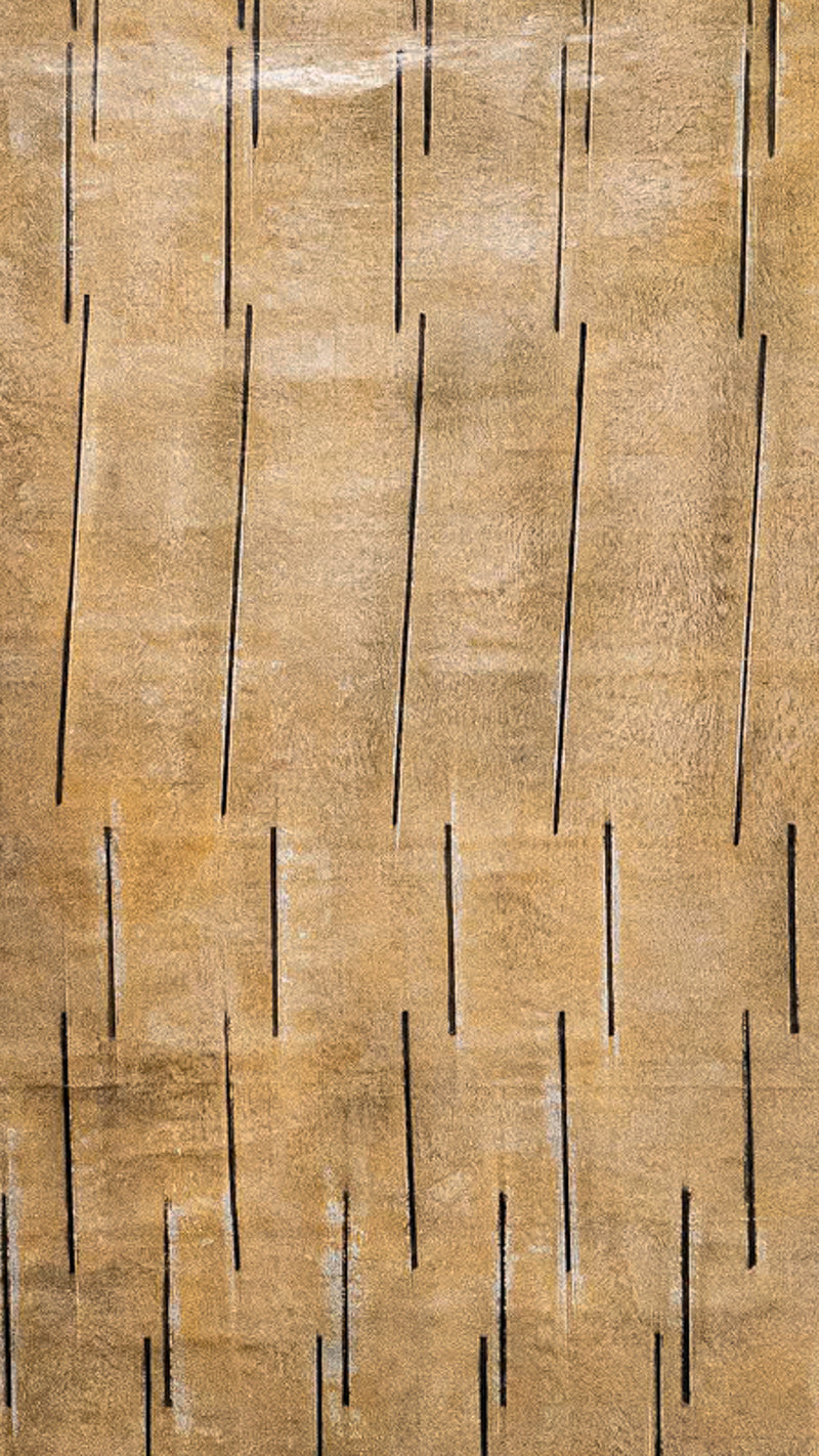 Zackery Tyler, Untitled, 2024.